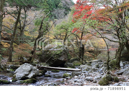 秋の小田深山渓谷 71898951