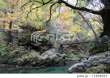 秋の小田深山渓谷 71898954
