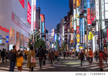 《東京都》新宿歩行者天国・夜の繁華街 71899643