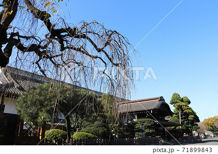 秋の川越城 71899843