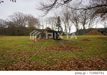 初冬の御所野遺跡 71900791