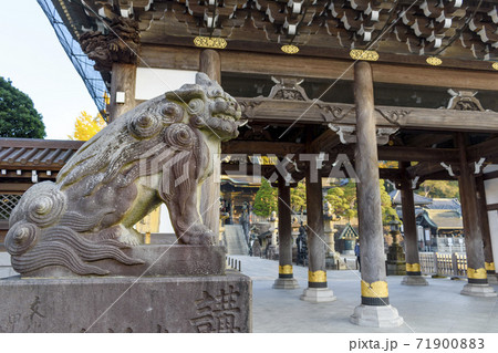 成田山新勝寺　総門前の狛犬 71900883