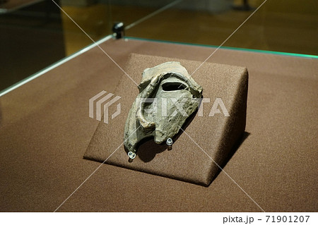 初冬の御所野遺跡　縄文博物館 71901207
