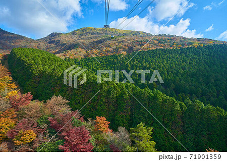 神奈川県箱根町の秋の箱根駒ヶ岳ロープウェイから駒ヶ岳方面 71901359