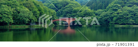 群馬県・松井田町 新緑の碓井湖のパノラマ風景 群馬県・松井田町 新緑の碓井湖のパノラマ風景 71901391