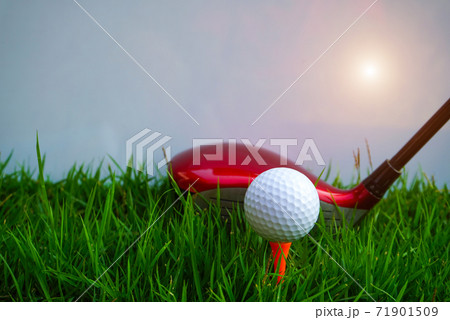 Golf balls on the golf course with golf clubs ready for golf in the first short. In the morning, with the beautiful sunlight.Sports that people around the world play in the holidays Golf balls on the golf course with golf clubs ready for golf in the first short. In the morning, with the beautiful sunlight.Sports that people around the world play in the holidays 71901509