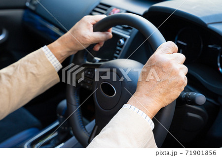 シニアドライバー　ハンドル 71901856