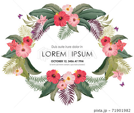 Vector illustration of tropical floral frame in summer for Wedding, anniversary, birthday and party. Design for banner, poster, card, invitation and scrapbook Vector illustration of tropical floral frame in summer for Wedding, anniversary, birthday and party. Design for banner, poster, card, invitation and scrapbook 71901982