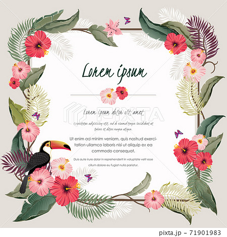 Vector illustration of tropical floral frame in summer for Wedding, anniversary, birthday and party. Design for banner, poster, card, invitation and scrapbook Vector illustration of tropical floral frame in summer for Wedding, anniversary, birthday and party. Design for banner, poster, card, invitation and scrapbook 71901983