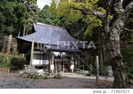岡山県勝田郡奈義町にある浄土宗の寺「菩提寺」(全国銘木百選にも選ばれた大イチョウで有名) 岡山県勝田郡奈義町にある浄土宗の寺「菩提寺」(全国銘木百選にも選ばれた大イチョウで有名) 71902027