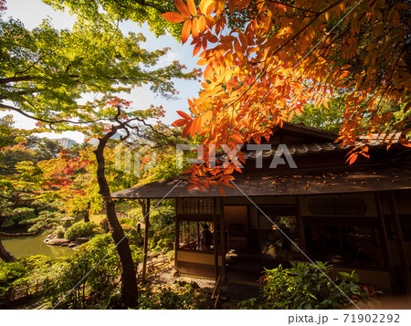 紅葉し始めた木々と日本庭園 紅葉し始めた木々と日本庭園 71902292