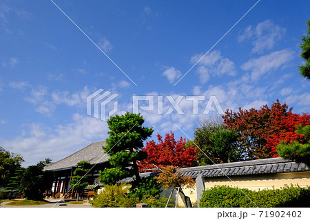 天平の総国分尼寺  法華寺門跡 71902402
