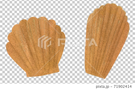 甘い焼き菓子 マドレーヌの手描きイラストのイラスト素材