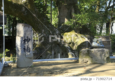熊本県 人吉市 青井阿蘇神社、 熊本県 人吉市 青井阿蘇神社、 71902714