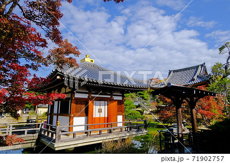 天平の総国分尼寺  法華寺門跡 71902757