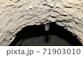 コウモリ 71903010