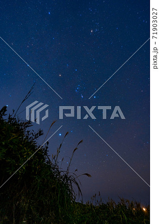 ススキとオリオン座の写真素材