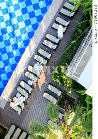 Top view of the pool, sun loungers and umbrellas among lush green palms and bushes in a resort hotel 71903233