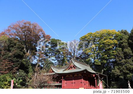 川越城　三芳野神社で必勝合格祈願 71903500