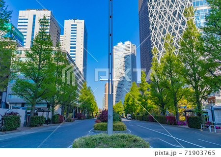 新宿中央通りから西新宿方向の景色の写真素材