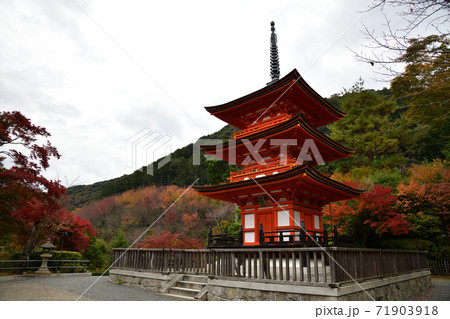 清水寺の紅葉 清水寺の紅葉 71903918
