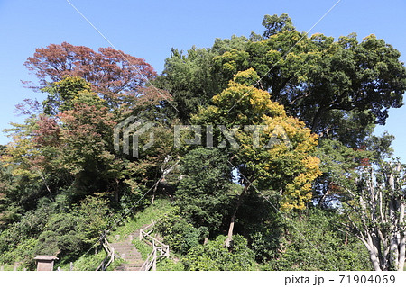 川越城 富士見櫓跡地 南側 川越城 富士見櫓跡地 南側 71904069