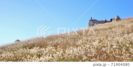 秋の生石高原の光景 和歌山県海草郡紀美野町 秋の生石高原の光景 和歌山県海草郡紀美野町 71904080