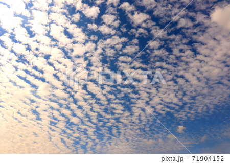 空　雲　青空 71904152