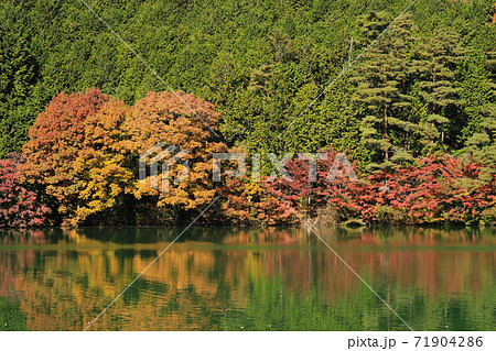 南伊奈ヶ湖の紅葉 南伊奈ヶ湖の紅葉 71904286