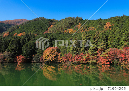南伊奈ヶ湖の紅葉の写真素材