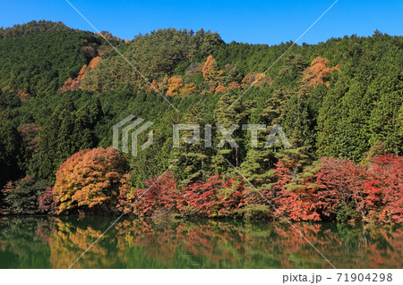 南伊奈ヶ湖の紅葉 71904298