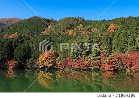 南伊奈ヶ湖の紅葉 71904299
