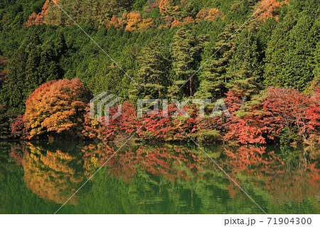 南伊奈ヶ湖の紅葉 71904300