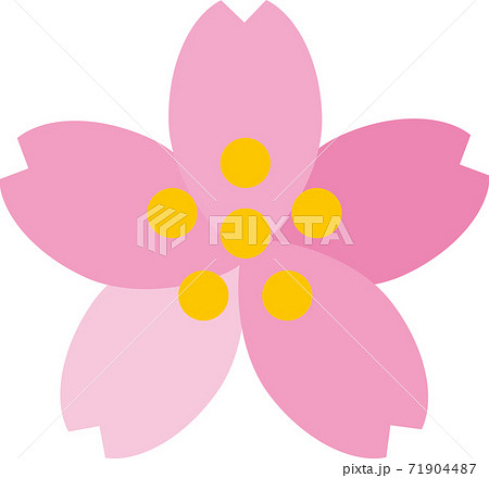 桜の花 一輪 イラストのイラスト素材