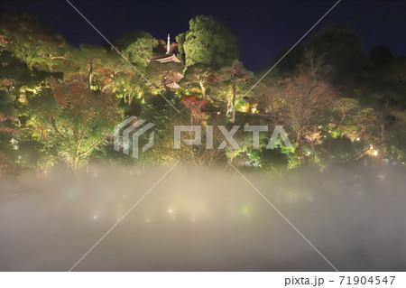 ホテル椿山荘東京 雲海とライトアップされた庭園と三重塔 ホテル椿山荘東京 雲海とライトアップされた庭園と三重塔 71904547