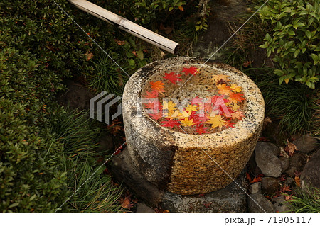 紅葉とししおどし 71905117