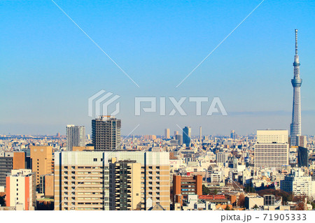 東京都、東京スカイツリーとその周辺の風景 東京都、東京スカイツリーとその周辺の風景 71905333