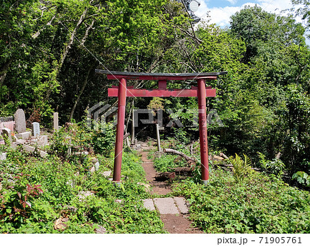 寂れた神社の鳥居（大岩神社） 71905761