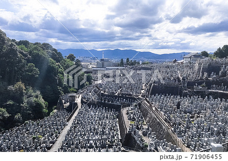 墓地(京都・大谷本廟) 墓地(京都・大谷本廟) 71906455