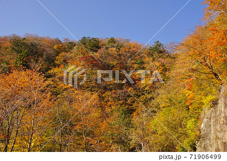 秋の龍神村の光景 和歌山県田辺市護摩壇山付近 秋の龍神村の光景 和歌山県田辺市護摩壇山付近 71906499
