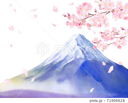 春の花 桜と富士山の景色 水彩イラスト 白背景 のイラスト素材