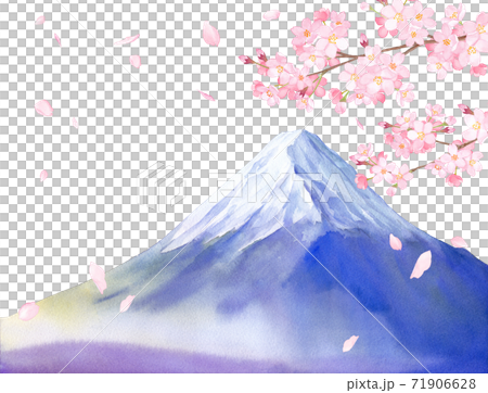 Spring flowers: Sakura and Mt. Fuji scenery watercolor illustration (white background) 71906628