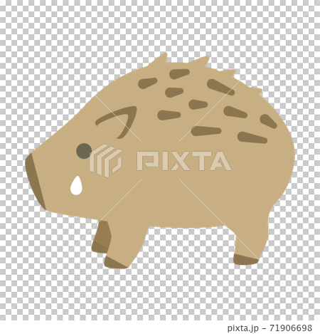 イノシシ 71906698