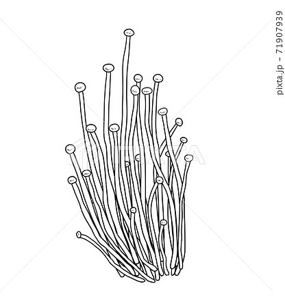 きのこ えのき モノクロ 鍋 弁当 料理画像にも使えます 組合せシリーズのイラスト素材