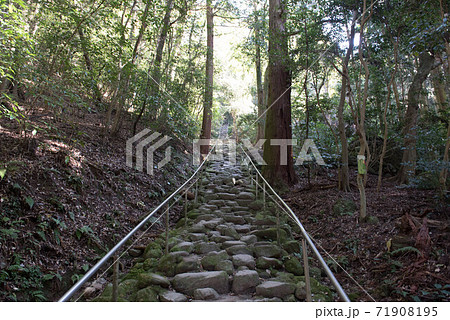 大いなる遺産　熊野摩崖仏 71908195