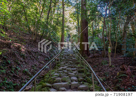 大いなる遺産　熊野摩崖仏 71908197