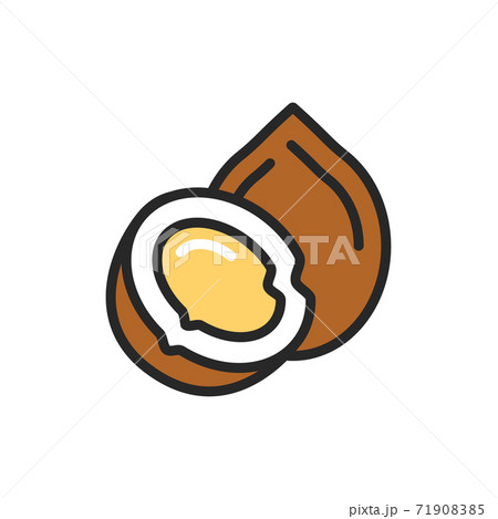 Coconut color line icon. Isolated vector element. Outline pictogram for web page, mobile app, promo. 71908385
