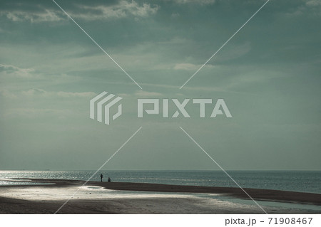 Spring walks on the Baltic beach 71908467