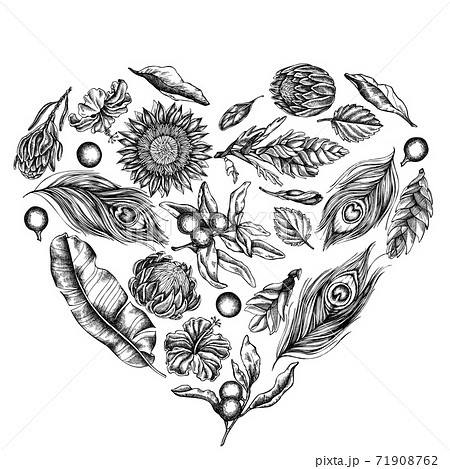 Heart floral design with black and white banana palm leaves, hibiscus, solanum, bromeliad, peacock Heart floral design with black and white banana palm leaves, hibiscus, solanum, bromeliad, peacock 71908762