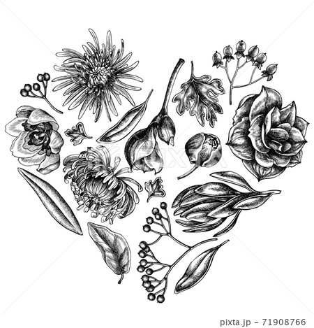 Heart Floral Design With Black And White のイラスト素材